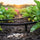 50m Porous Rubber Garden Hose - Buried Soaker Hose Irrigation