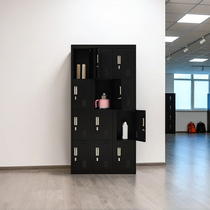 12-Door Locker – Black with Padlock-operated | Secure Storage for Office, Gym or School Use