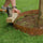 60cm Steel Garden Tree Ring with Spikes – Durable Root Barrier & Edging Guard