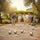 Petanque Set – 8 Alloy Boules with Canvas Carry Bag