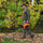 Petrol Leaf Blower 25.4cc 2-Stroke Petrol Hand Garden Yard Outdoor 
